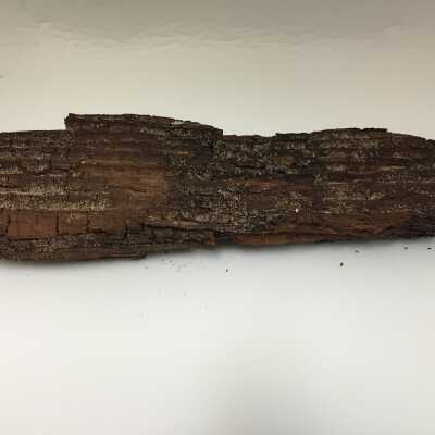 Wood fragment believed to be used as base of Albin