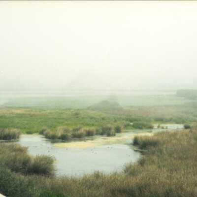 11.5" x 4" panoramic undated photograph of Oso Flaco Lake area
