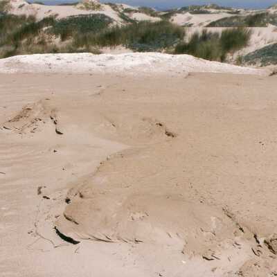 Oso Flaco Lake Color Photograph