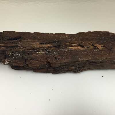 Wood fragment believed to be used as base of Albin