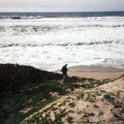 Guadalupe Dunes Preserve aka Rancho Guadalupe Beach County Park