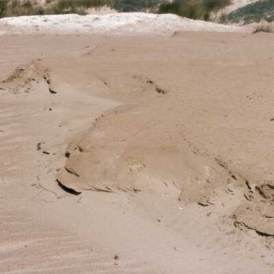 Oso Flaco Lake Color Photograph