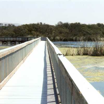 Oso Flaco Lake Color Photograph