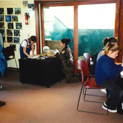 Unspecified Elementary School Field Trip 2001; 4" x 6" color photograph