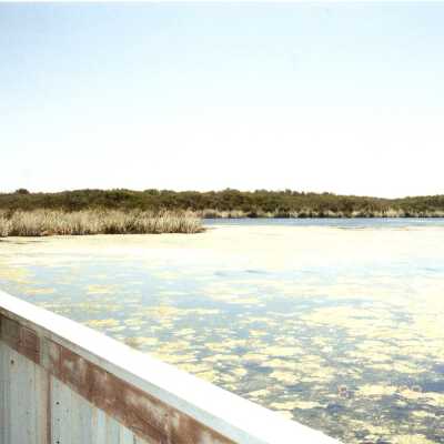 Oso Flaco Lake Color Photograph