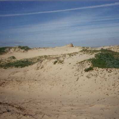 Guadalupe Dunes Preserve aka Rancho Guadalupe Beach County Park