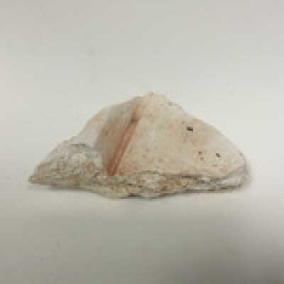 Sculpture - Misc