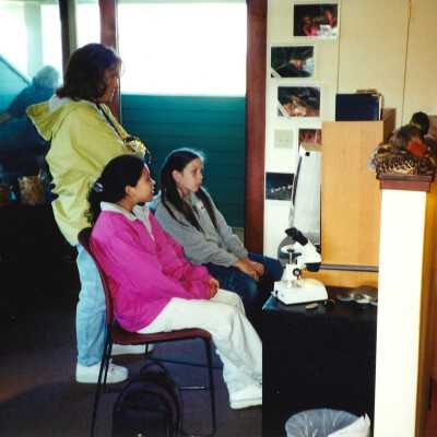 Unspecified Elementary School Field Trip 2001; 4" x 6" color photograph