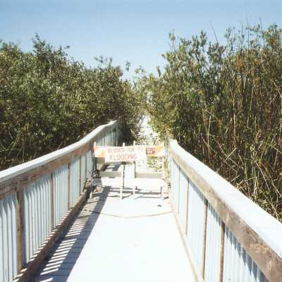 Oso Flaco Lake Color Photograph