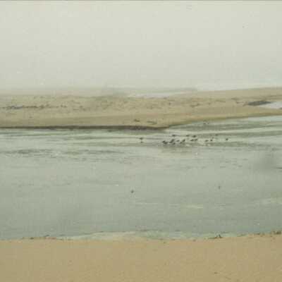11.5" x 4" panoramic undated photograph of Oso Flaco Lake area