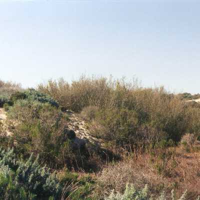 Oso Flaco Lake Color Photograph