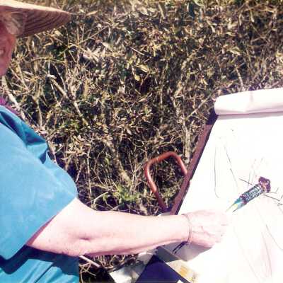 Naomi Hoffman's Sketch - Family Day 9/95 Station #6