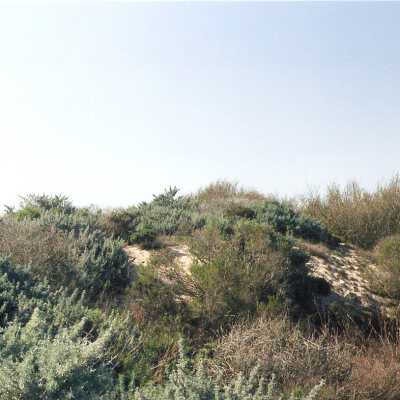 Oso Flaco Lake Color Photograph