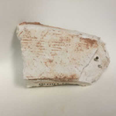 Hind quarter of sphinx, Ten Commandments