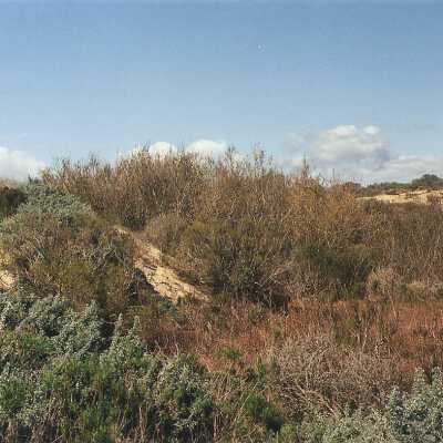Oso Flaco Lake Color Photograph