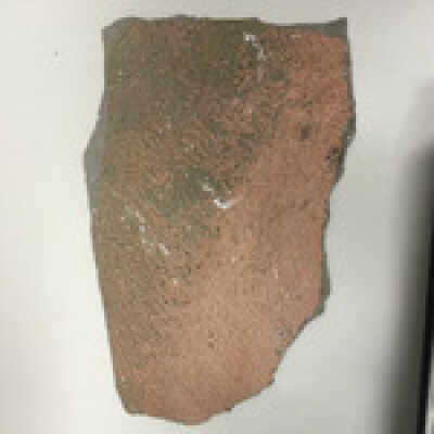 Hind quarter of sphinx, Ten Commandments