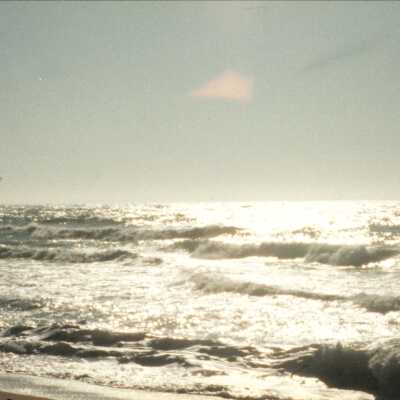 11.5" x 4" panoramic undated photograph of Oso Flaco Lake area