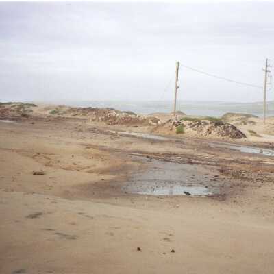 Guadalupe Dunes Preserve aka Rancho Guadalupe Beach County Park