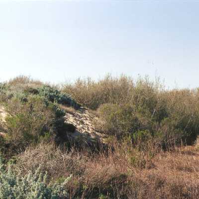 Oso Flaco Lake Color Photograph