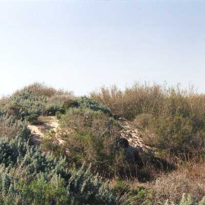 Oso Flaco Lake Color Photograph
