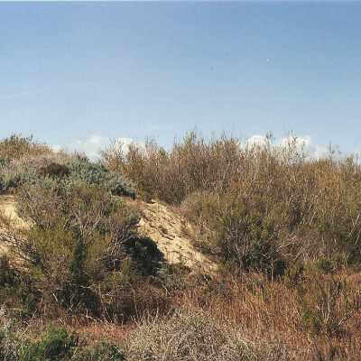 Oso Flaco Lake Color Photograph
