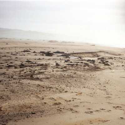Guadalupe Dunes Preserve aka Rancho Guadalupe Beach County Park