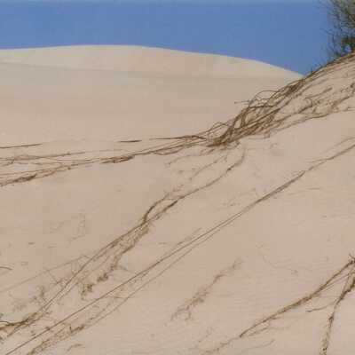 Oso Flaco Lake Color Photograph