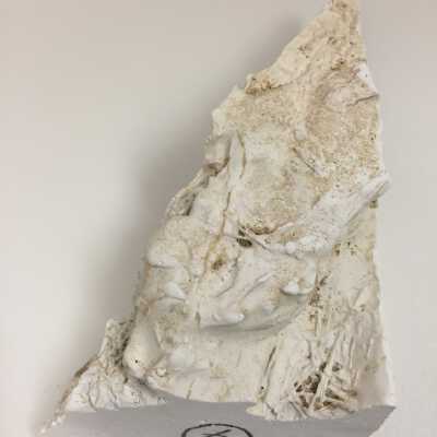 Parts of Albin's (Shpinx) body, no head attached, Ten Commandments