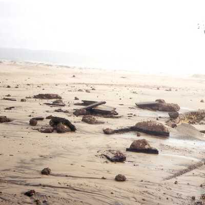 Guadalupe Dunes Preserve aka Rancho Guadalupe Beach County Park