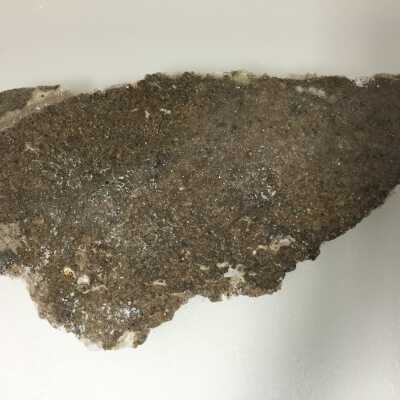 Parts of Albin's (Shpinx) body, no head attached, Ten Commandments