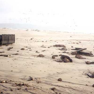 Guadalupe Dunes Preserve aka Rancho Guadalupe Beach County Park