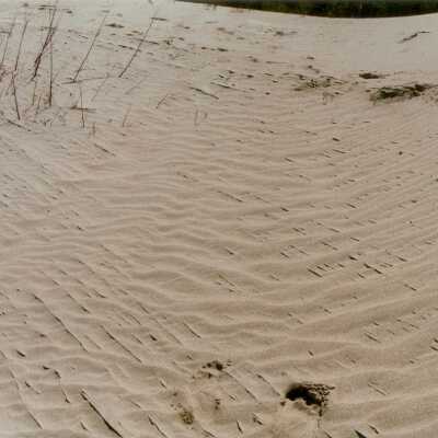 Oso Flaco Lake Color Photograph