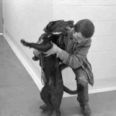 Unidentified man and dog, Humane Society, Date unknown: Frame 14
