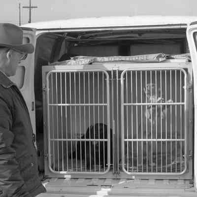 Unidentified man and dog, Date unknown: Frame 18