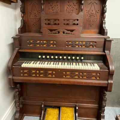 Organ