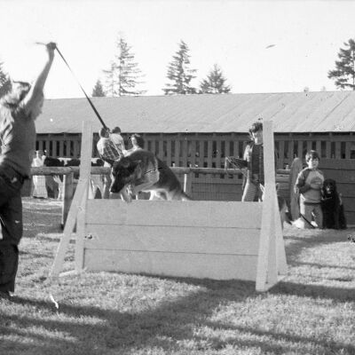 Thurston County Fair, August 2-5, 1979: Frame 24f