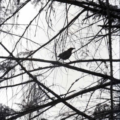 Building Construction, 1978: Frame 9