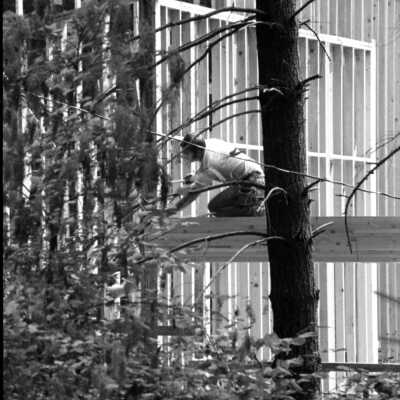 Building Construction, 1978: Frame 5