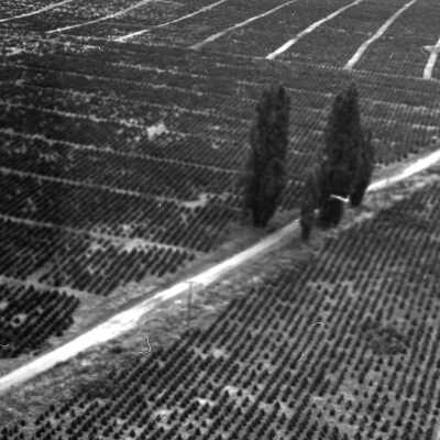 Aerials, 1973: Frame 38