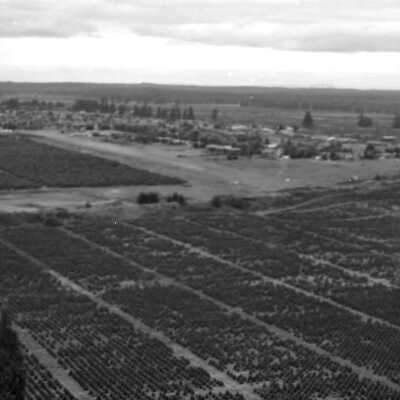 Aerials, 1973: Frame 39