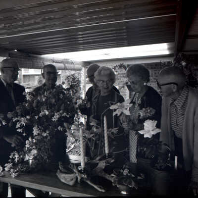 Panorama City Flower Show, 1973: Frame 26