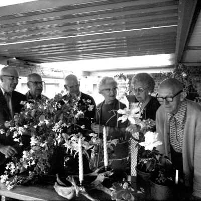 Panorama City Flower Show, 1973: Frame 27