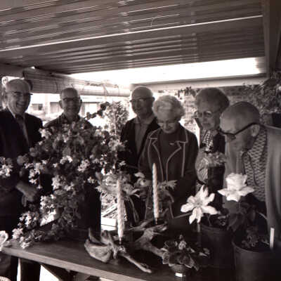 Panorama City Flower Show, 1973: Frame 21