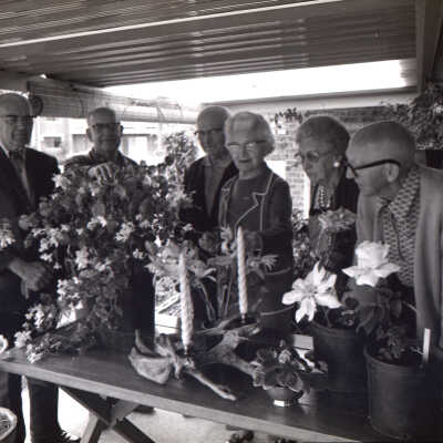 Panorama City Flower Show, 1973: Frame 22