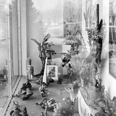 Display windows, Date unknown: Frame 20