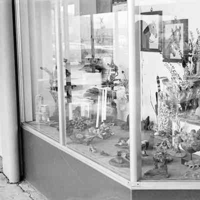 Display windows, Date unknown: Frame 21