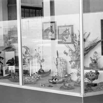 Display windows, Date unknown: Frame 17
