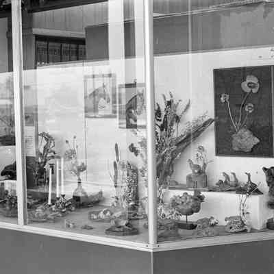 Display windows, Date unknown: Frame 18