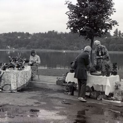 Farmer's Market, 1976: Frame 2