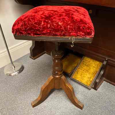 Organ stool